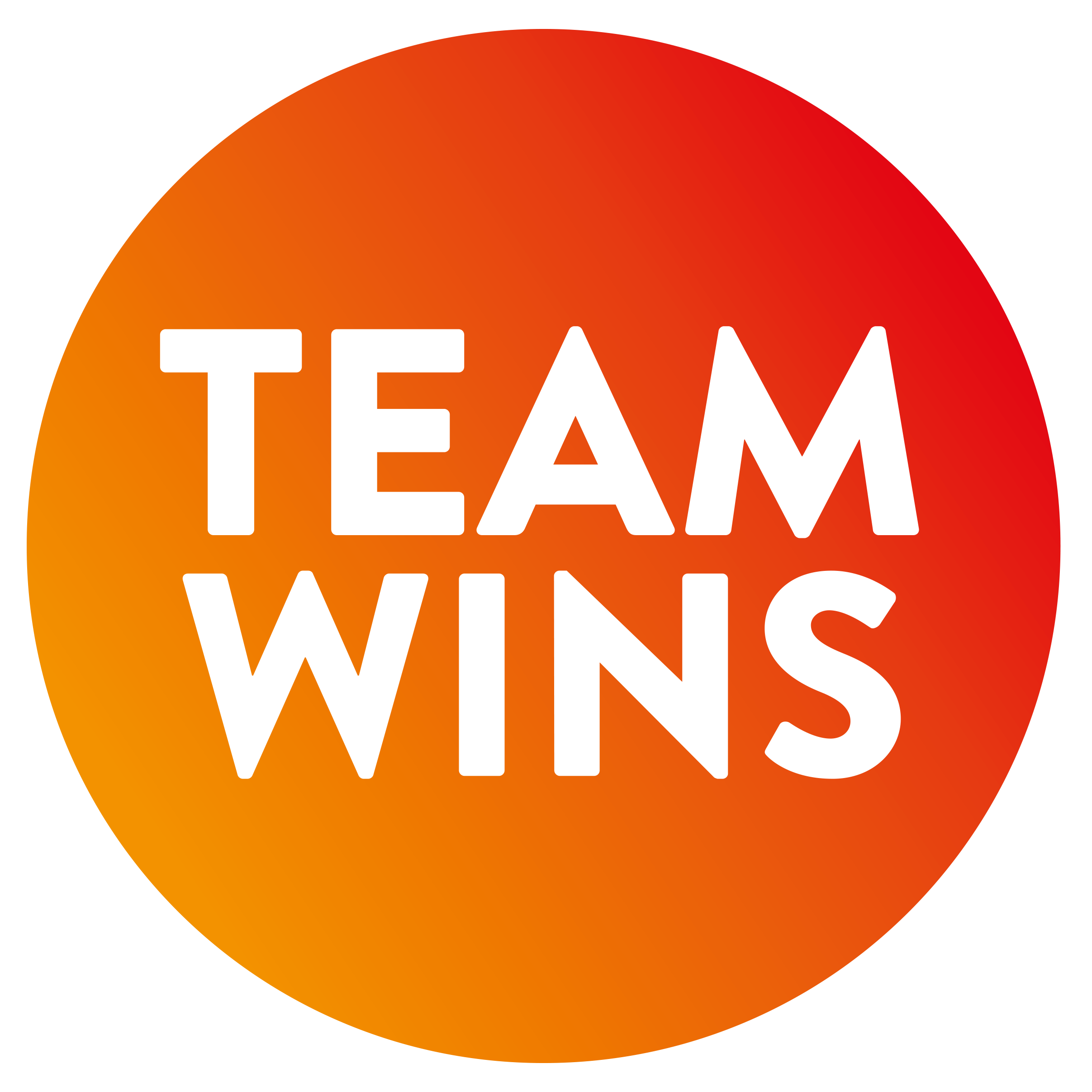 Logo Team Wins